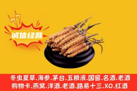 宜昌回收冬虫夏草